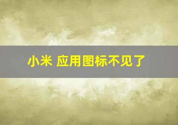 小米 应用图标不见了